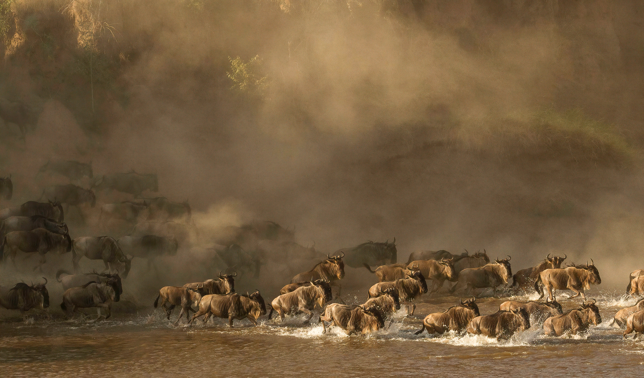 6-Day Tanzania Premier Luxury Wildlife Safari